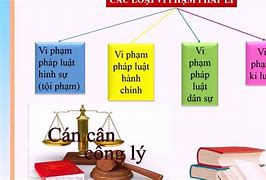 Các Vi Phạm Pháp Luật