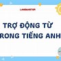 Cách Trợ Động Từ Trong Tiếng Anh