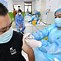 Vaccine Vietnam Tên Gì Cho Đẹp Và Ý Nghĩa Là Gì Đẹp